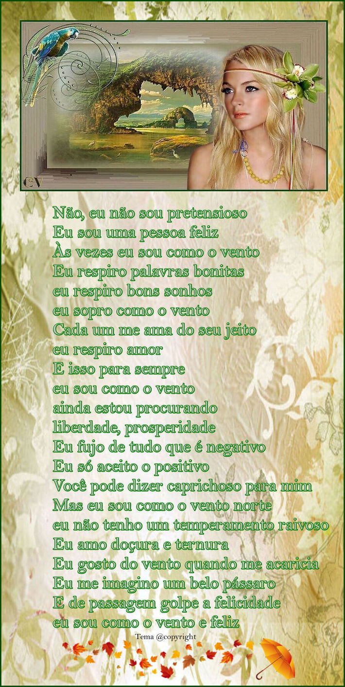 O Vento