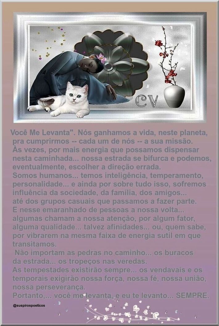 Você Me Levanta